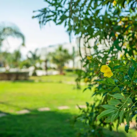 דירה The Cyprus Mup *