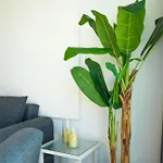 Apartment The Cyprus Mup *