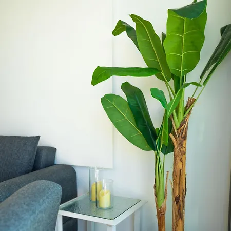 Apartment Beautiful And Bright 2-bedroom *
